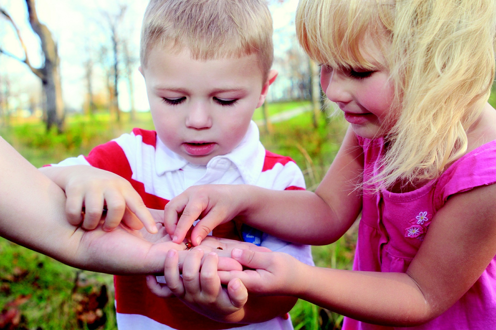 Children exploring outdoors